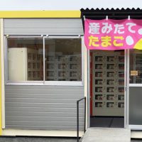 神戸西物流倉庫 卵自販機